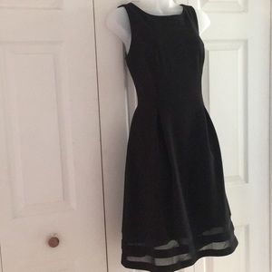 Sheer Cuteness ❤️